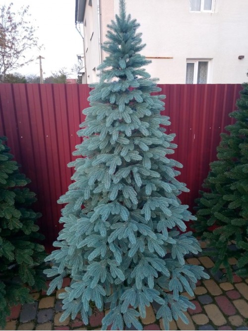 Преміум голуба 2.50 м. лита ялинка штучна