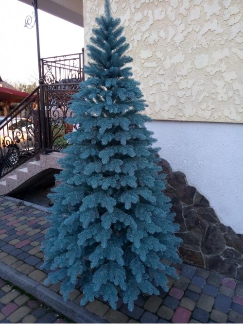 Елітна блакитна 1.80 м. лита ялинка штучна