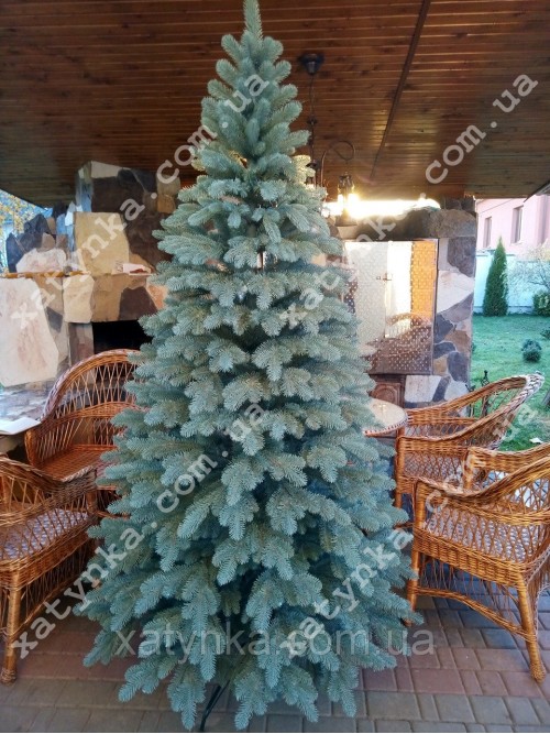 Лита ялинка Ковалівська 2.50 м. блакитна Лита ялинка Ковалівська 2.50 м. блакитна