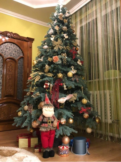 Лита ялинка Ковалівська 2.50 м. блакитна Лита ялинка Ковалівська 2.50 м. блакитна