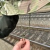 Панама мультикам бавовна