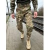 Штани мультикам ріпстоп демісезон v2