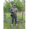 Тактичний комплект 4 в 1 Куртка + штани+ футболка + бейсболка Олива